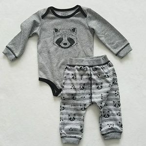 Baby Raccoon Outfit